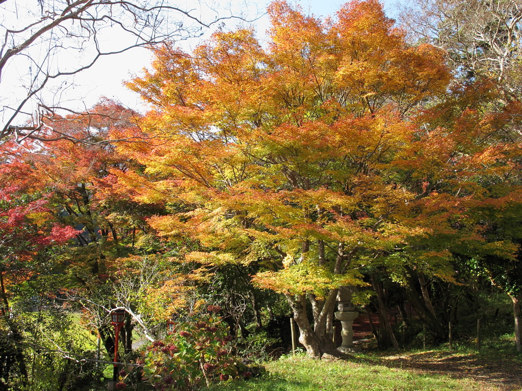十輪寺_02