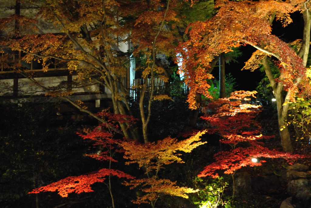 長岡天満宮ライトアップ03