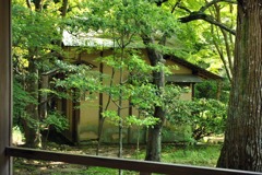 京都洛西散策06