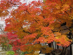 20121115_04