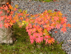 20121115_01