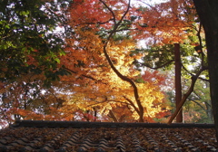 光明寺-02