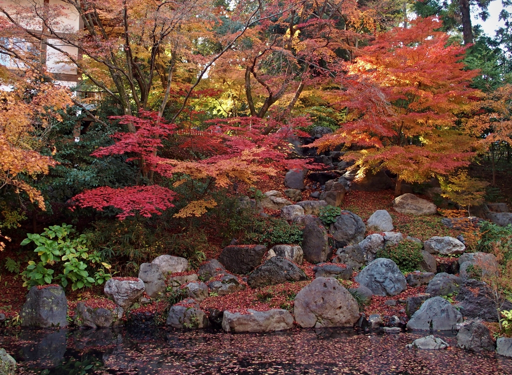 紅葉０４
