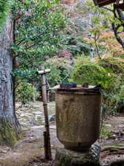 寸景