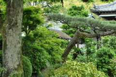 京都洛西散策02