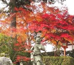 正法寺_02