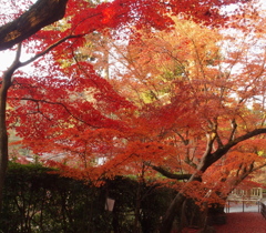 光明寺-09