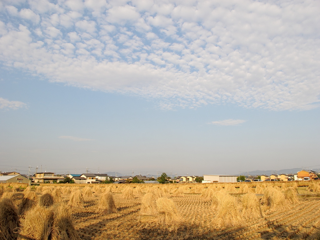 田園風景