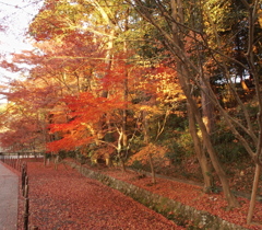 光明寺-10