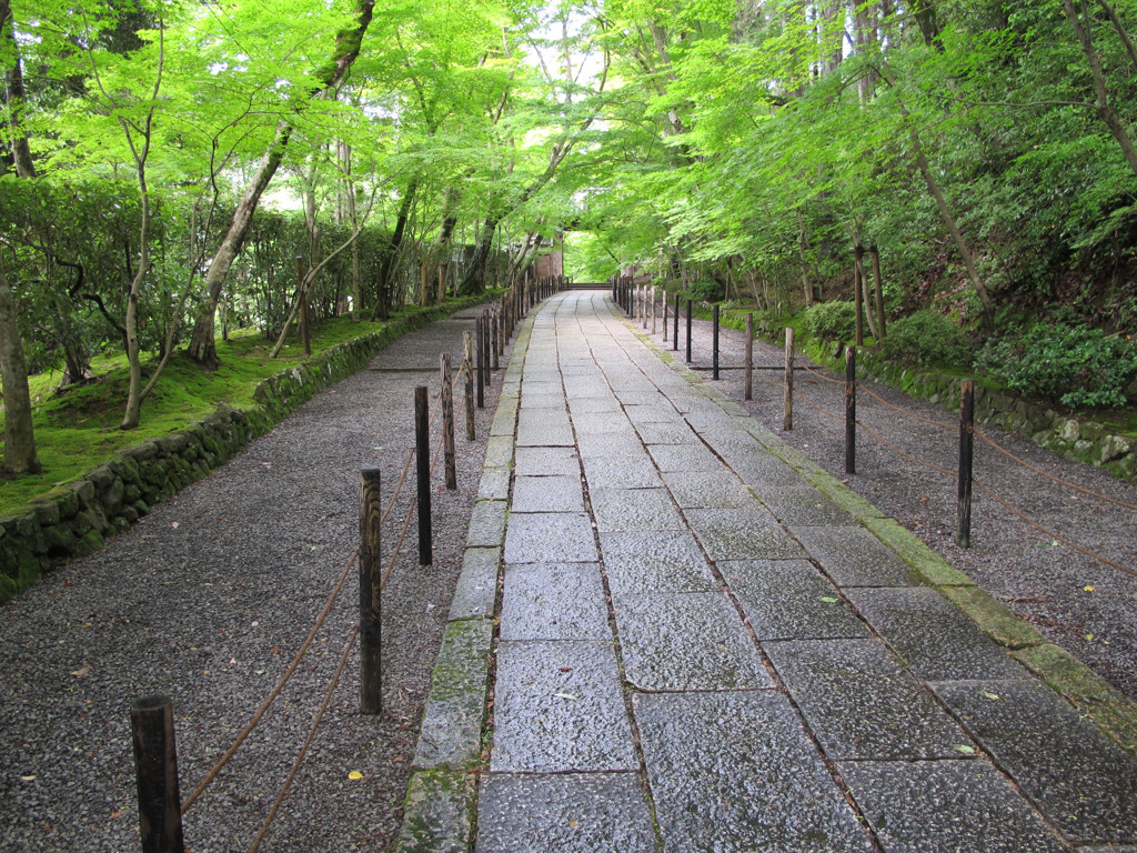 雨上がりの静寂