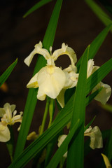 04