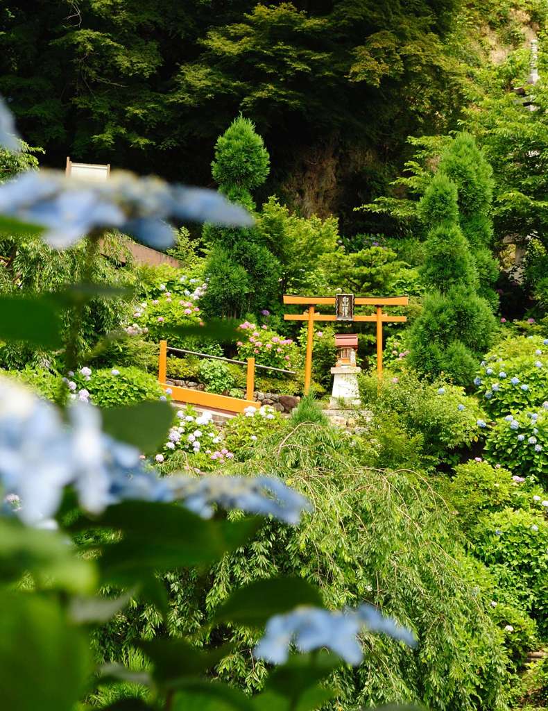 善峯寺01