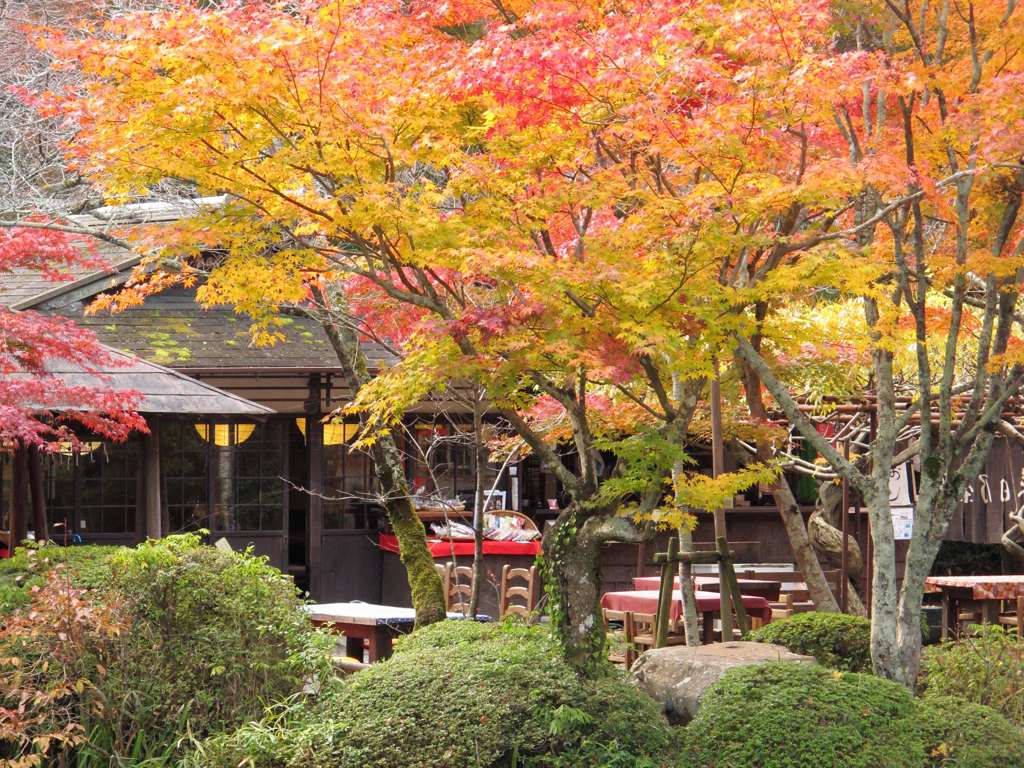 大原野神社_02