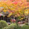 大原野神社_02