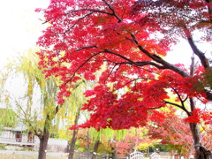 20121114_01