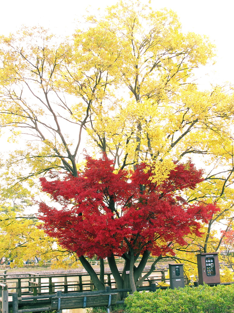 20121114_02