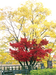 20121114_02