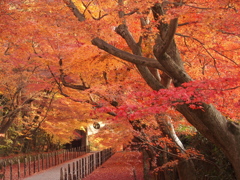 光明寺-05