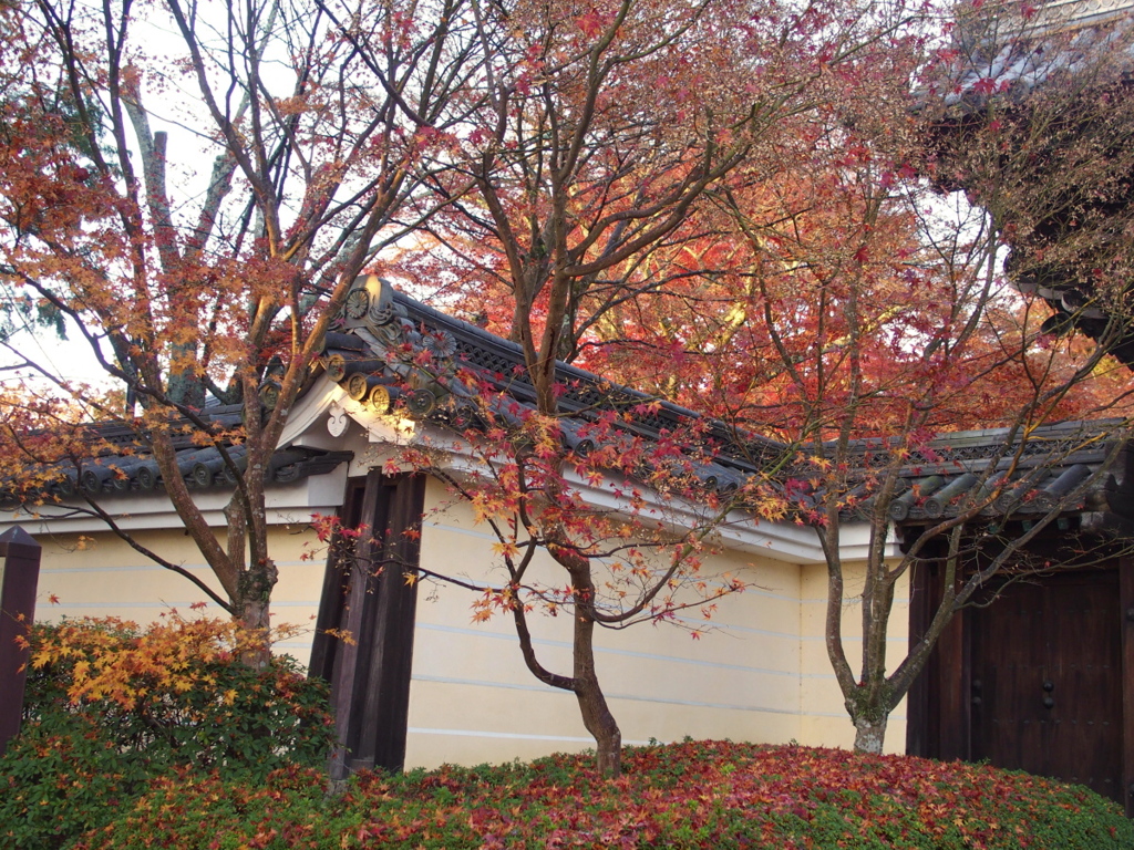 光明寺-18