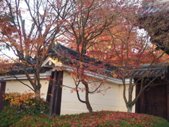 光明寺-18