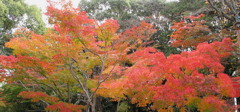 20121115_05