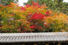 20121115_02