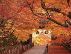 光明寺-06