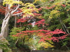 20121115_06