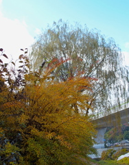 風景