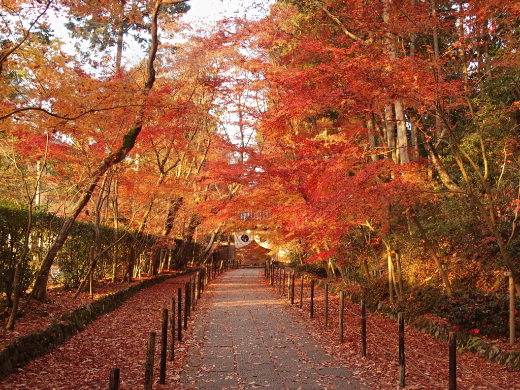 光明寺-14
