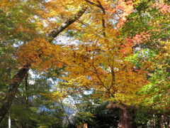 十輪寺_01