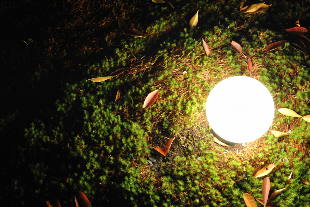 長岡天満宮ライトアップ02