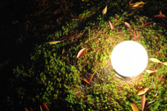 長岡天満宮ライトアップ02