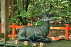 京都洛西散策04