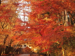 光明寺-13