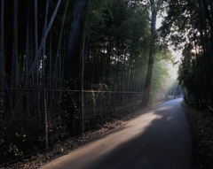 斜光