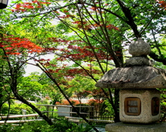 寸景