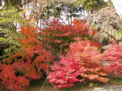 大原野神社_01