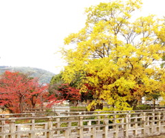 20121114_03