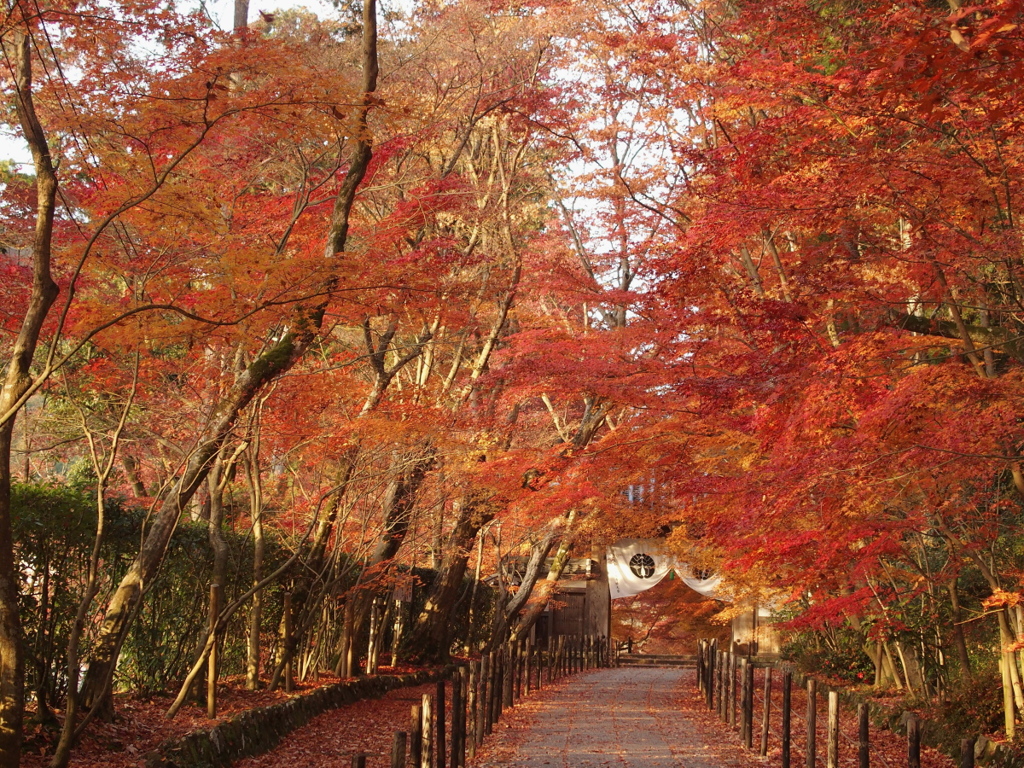 9光明寺-04