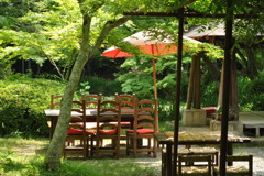 京都洛西散策08