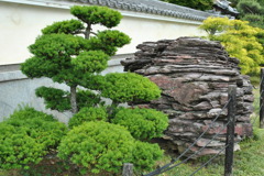 京都洛西散策01