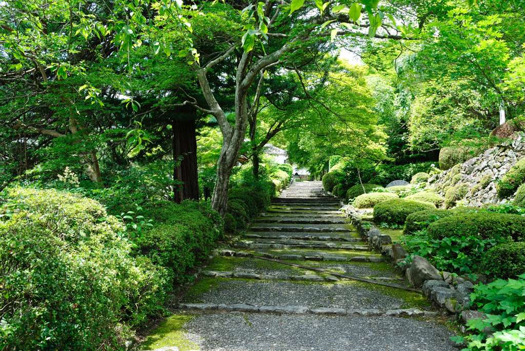 善峯寺06
