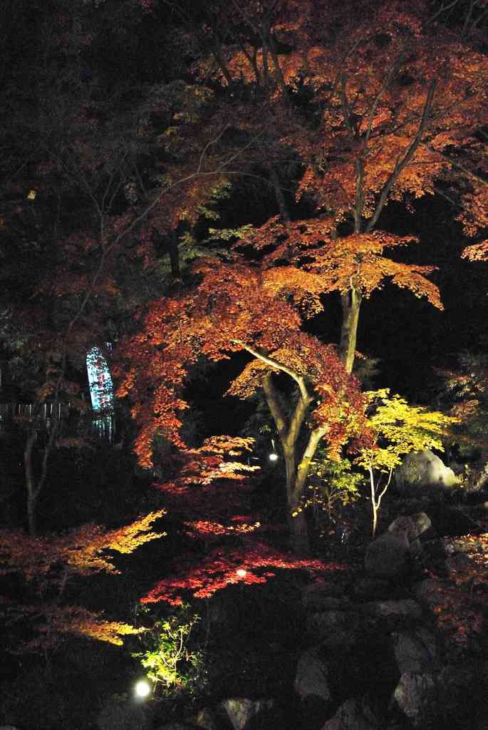 長岡天満宮ライトアップ04