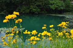 京都洛西散策03