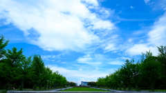 DSCF3153