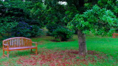DSCF3196