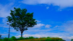 DSCF3141