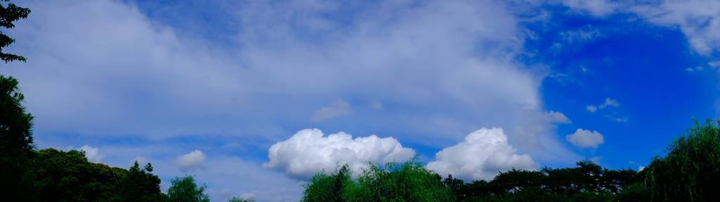 空１