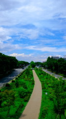 DSCF3145